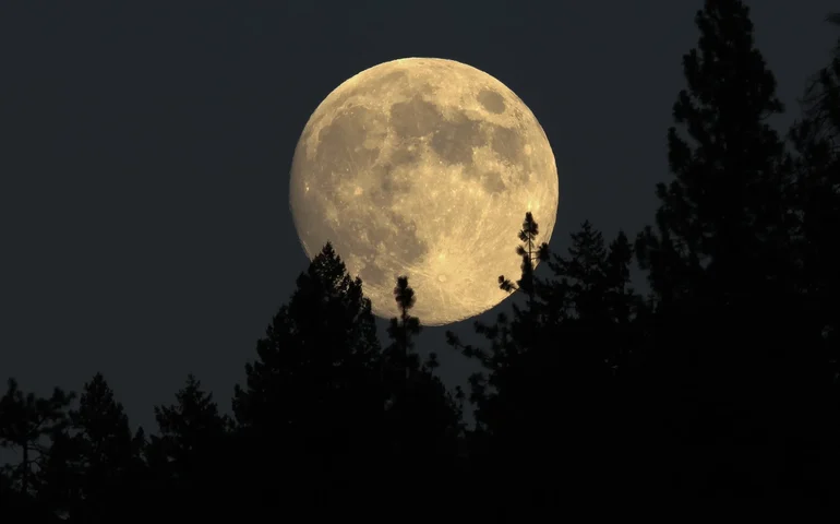 Em evento raro, Nasa encontra nova cratera lunar de 225 metros de diâmetro