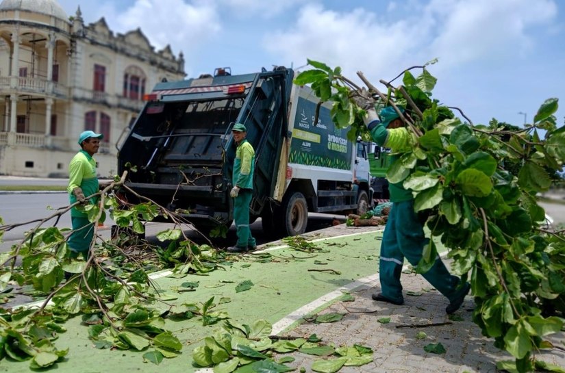 Alurb realiza vistorias e podas em árvores na Praia da Avenida