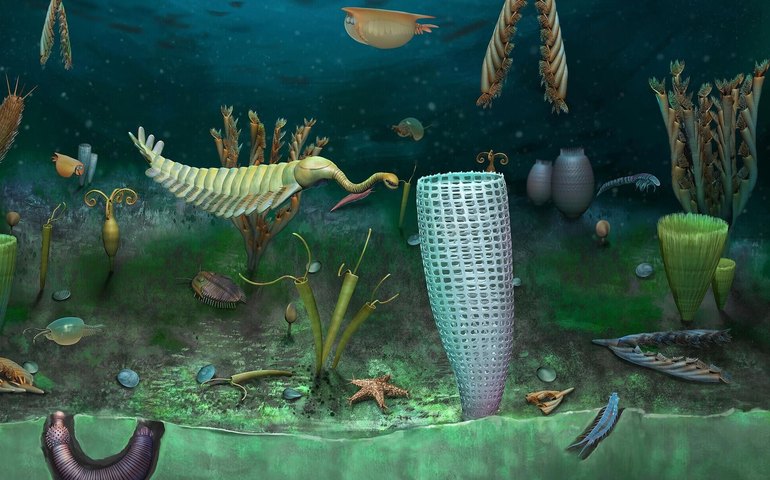 Cientistas criaram, pela 1ª vez, curva de desenvolvimento da biodiversidade na Terra, segundo mídia