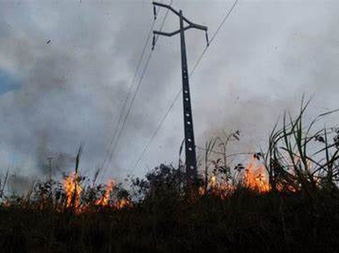 Equatorial Alagoas chama atenção para os prejuízos causados pelas queimadas na rede elétrica