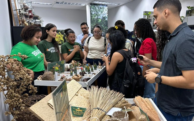 Herbário do IMA encerra programação com destaque para educação científica e representatividade feminina