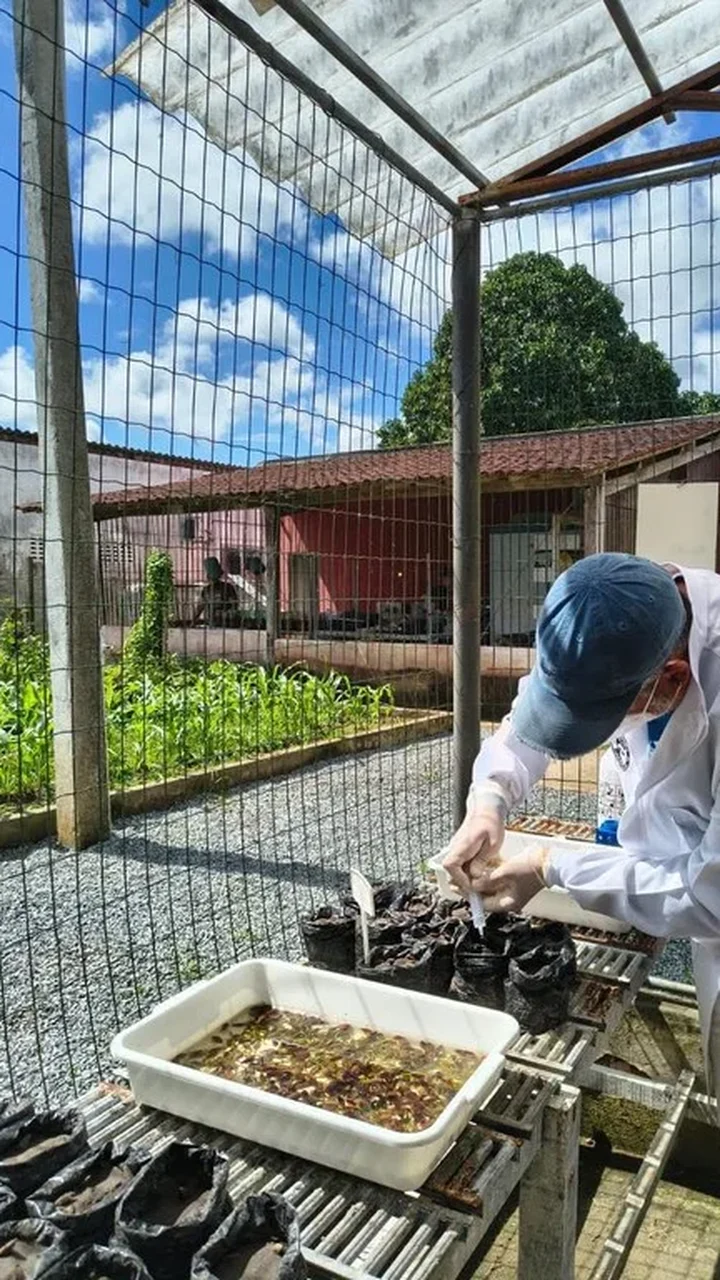 Ufal integra projeto campeão de prêmio nacional de preservação ao Meio Ambiente