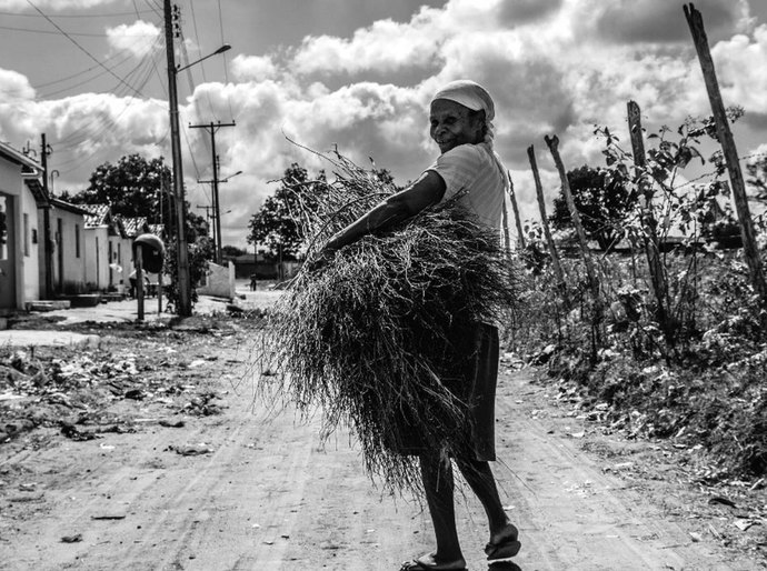 Site transforma cotidiano alagoano em acervo fotográfico e acessível