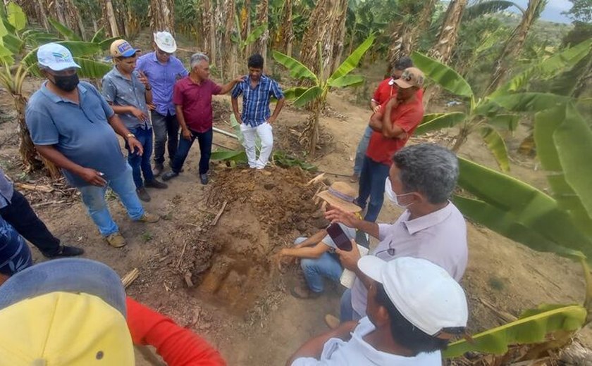 Secretaria de Agricultura de Branquinha trabalha no fortalecimento do cultivo e produção da banana