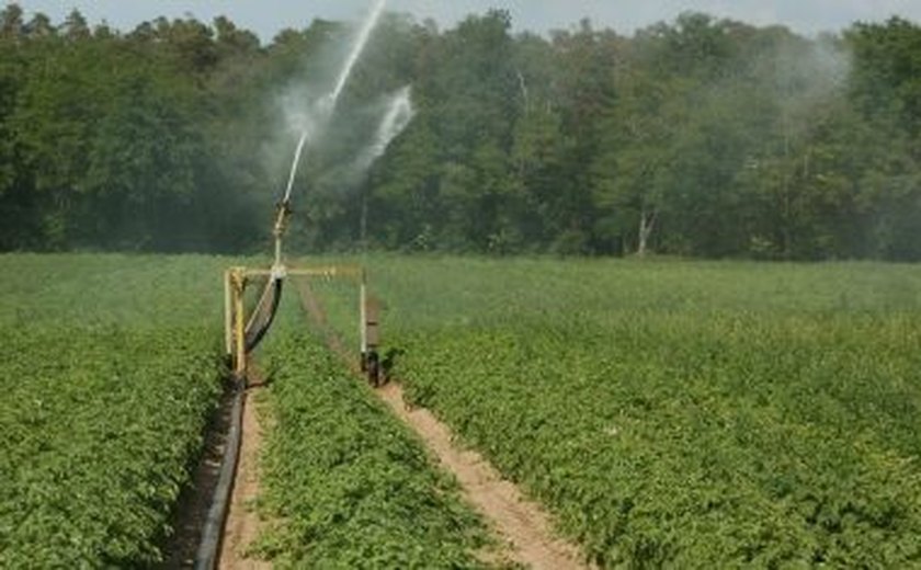 Agropecuária fica com 97,4% do consumo total de água em 2017, revela IBGE