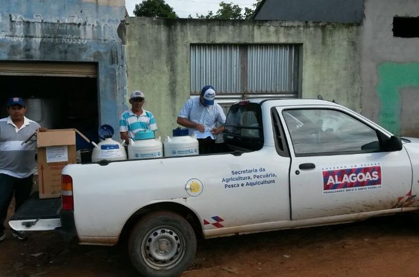 Sêmens doados pela CPLA impulsionam qualidade do leite da agricultura familiar