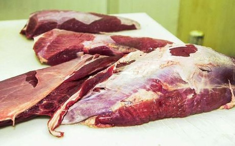 Consumo de carne bovina no Brasil deve cair ao menor nível em 26 anos