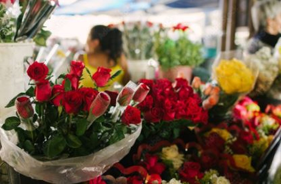 flores