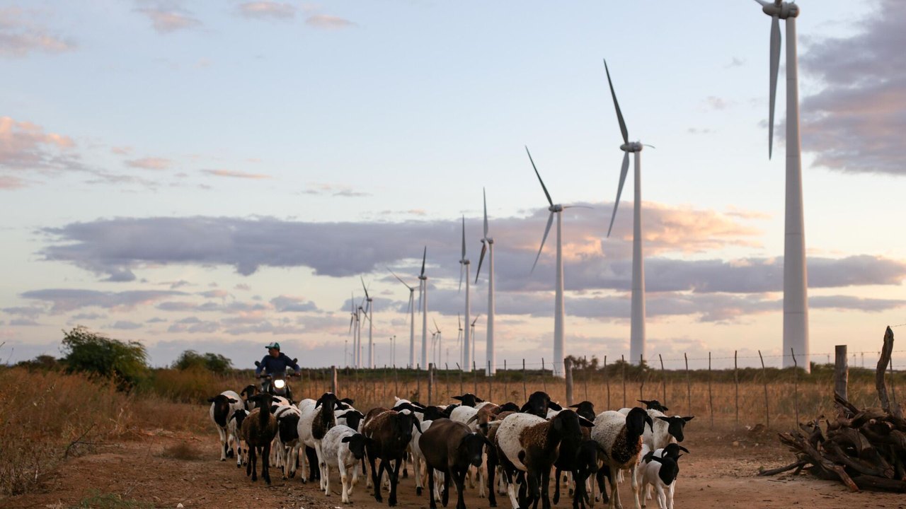 Brasil bate recorde de geração de energia eólica em novembro, diz ministério