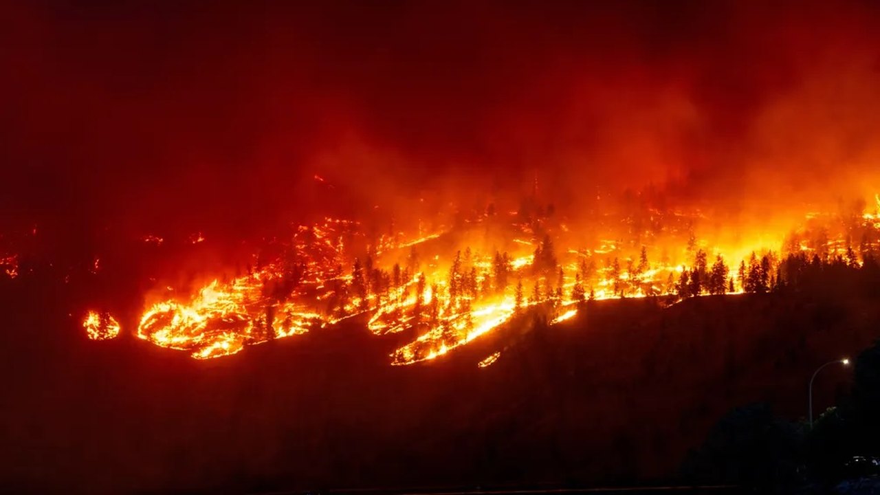Cerca de 150 mil hectares são queimados em incêndios na Grécia