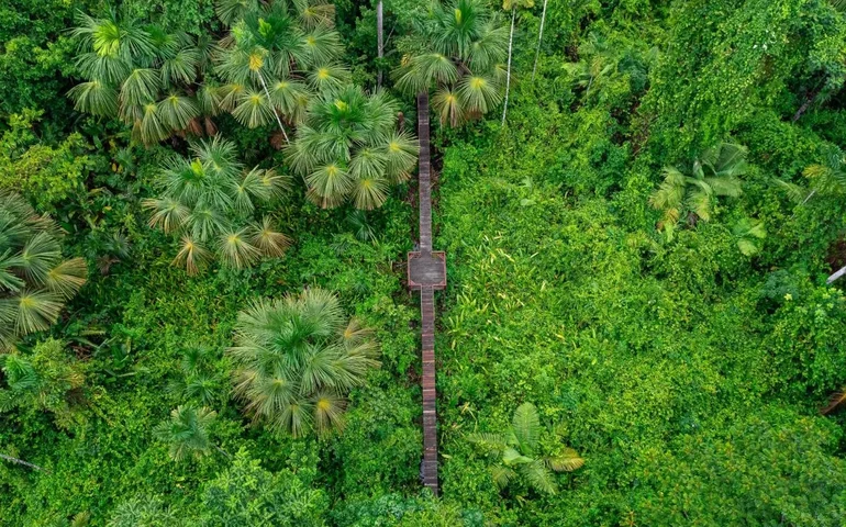 Dia da Terra: turismo como instrumento de preservação