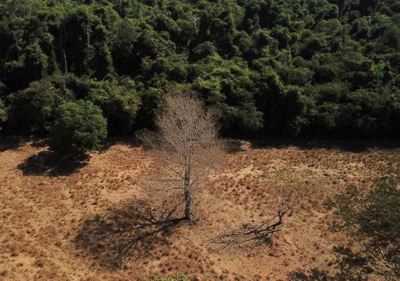 Desmatamento em terras indígenas provocou emissão de CO2 na Amazônia