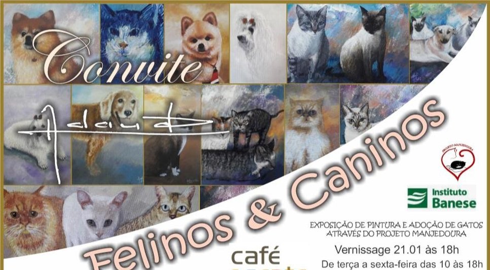 EXPOSIÇÃO CANINO FELINO