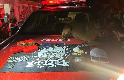 Polícia Militar prende chefe de facção criminosa em Campo Alegre