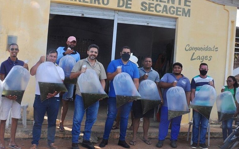 Prefeitura de Piranhas distribui alevinos para produtores da agricultura familiar