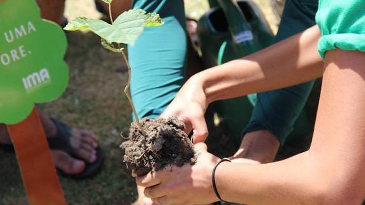 Alunos plantam mudas doadas pela Secretaria do Meio Ambiente e IMA em Coruripe