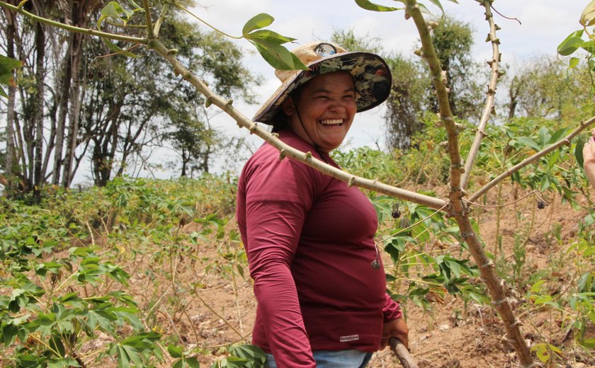 Participação do interior no PIB de Alagoas supera a capital, aponta IBGE
