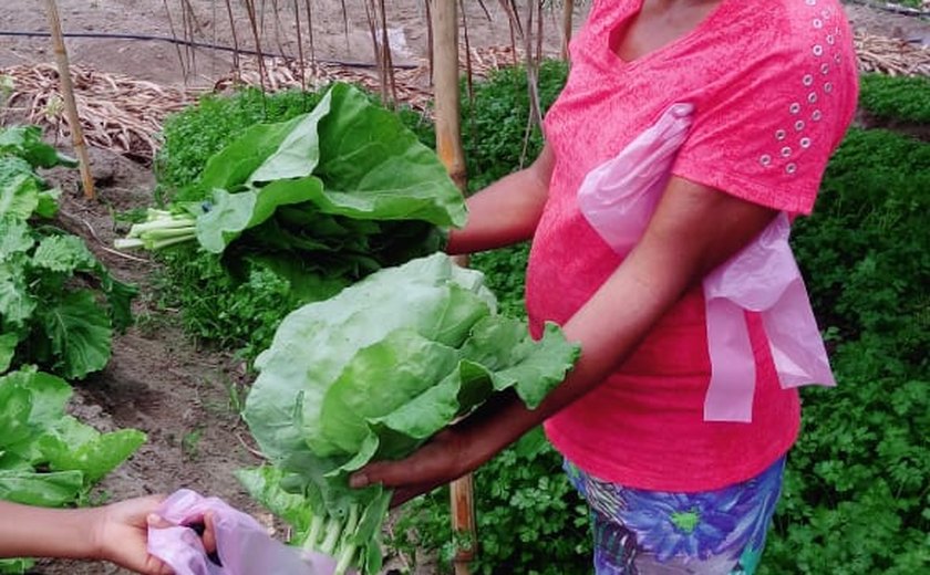 Iteral fortalece a agricultura familiar de Santana do Mundaú