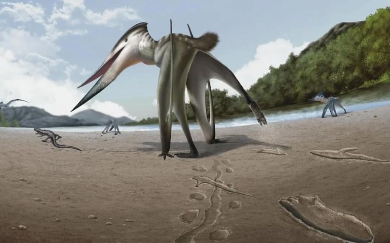 Pegadas de 106 milhões de anos sugerem que predador alado perseguia presas em terra