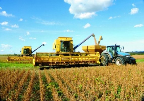Número de ocupados no agronegócio se recupera no 3º trimestre de 2020, diz Cepea
