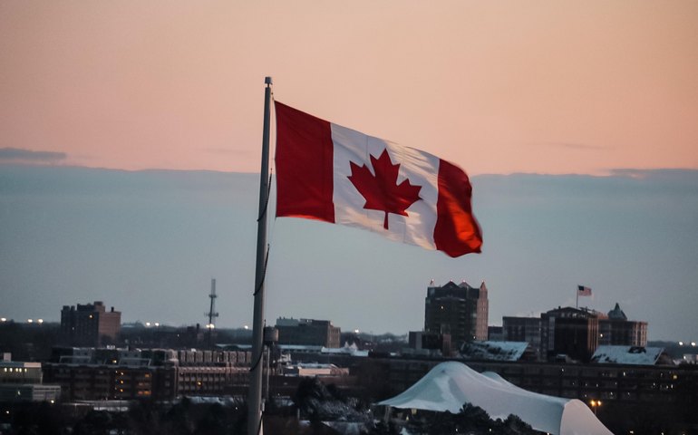 Canadá autoriza importação de gelatina e colágeno de origem suína do Brasil