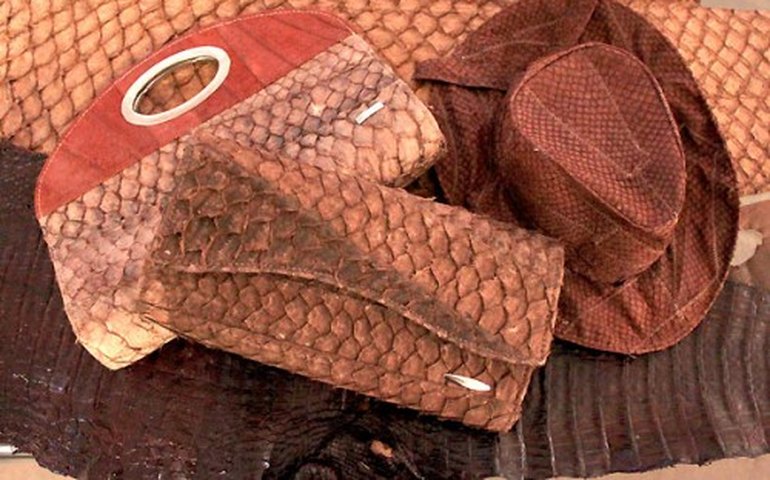 São Francisco proíbe venda de produtos feitos de pele animal