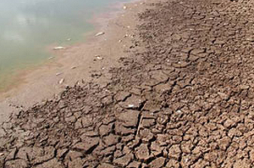 Nordeste terá pior seca do século