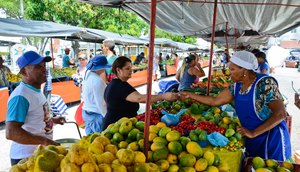 FEIRA LIVRE CASTELO BRANCO / Foto: Fotos: Felipe Goettenauer 