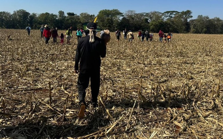 Fazendeiros armados perseguem e ferem indígenas avá-guarani