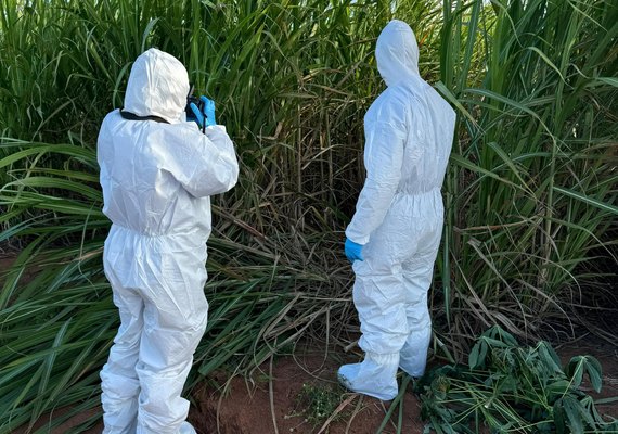 Corpo encontrado em São Sebastião passará por exame de DNA na Polícia Científica