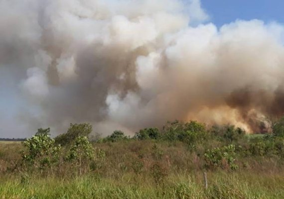 Incêndio destrói 464 hectares em parque em Ouro Verde (SP)