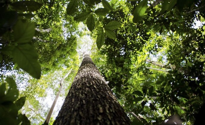Novas regras de licenciamento ambiental vão a votação na Câmara nesta terça-feira (11) Novas regras de licenciamento ambiental vão a votação na Câmara nesta terça-feira (11)