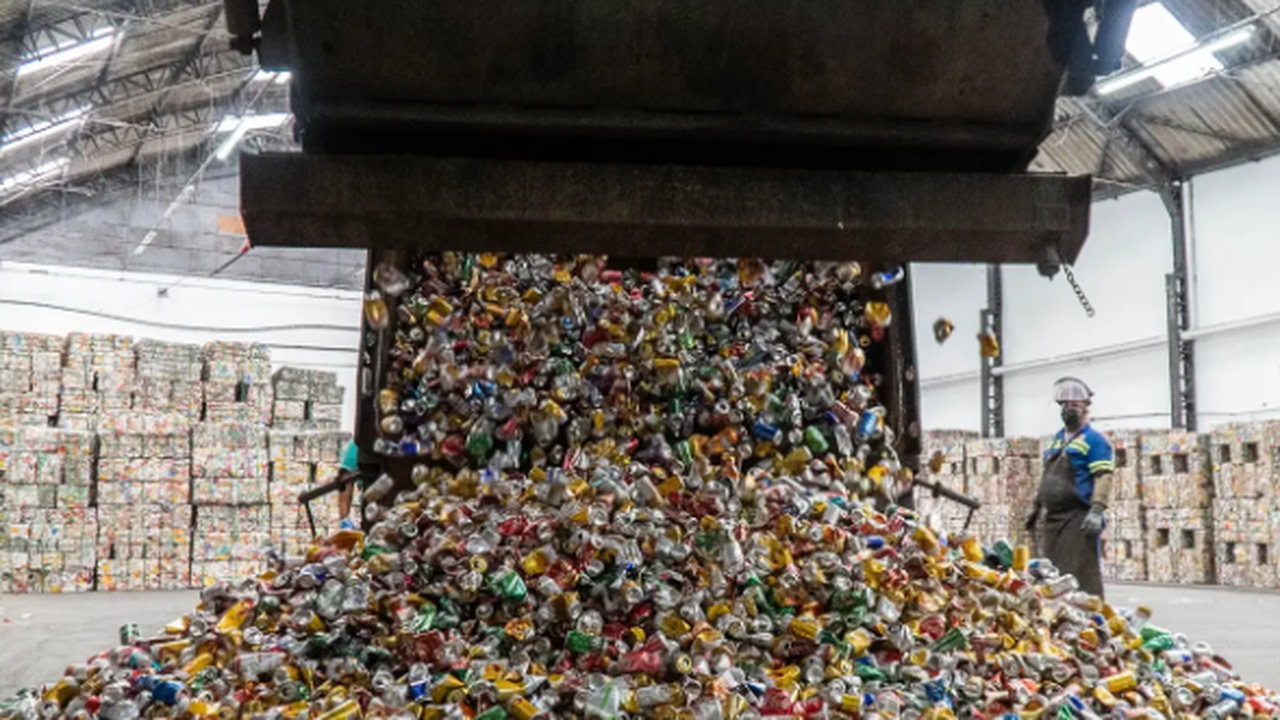 Rio desperdiça 2,5 milhões de toneladas de recicláveis por ano, uma perda de R$ 2,6 bilhões; entenda