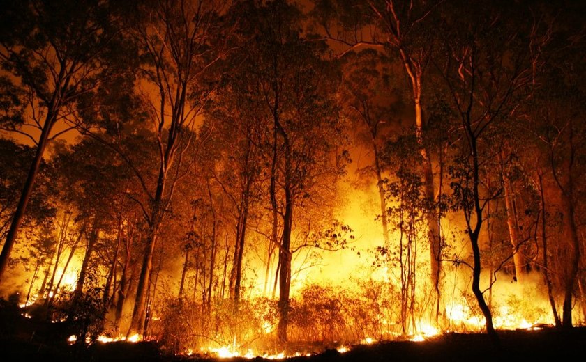 Incêndio florestal na Espanha destrói povoados e aumenta preocupações sobre clima