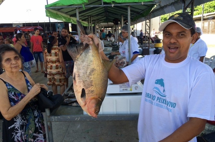Terceira edição da Feira do Peixe Vivo incentiva produção de pescados