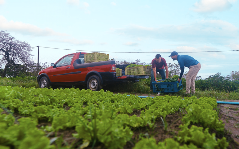 Alagoas sedia reunião da Câmara Temática da Agricultura Familiar do Consórcio Nordeste