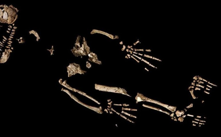 Cientistas descobrem fósseis humanos de cerca de 300 mil anos na China