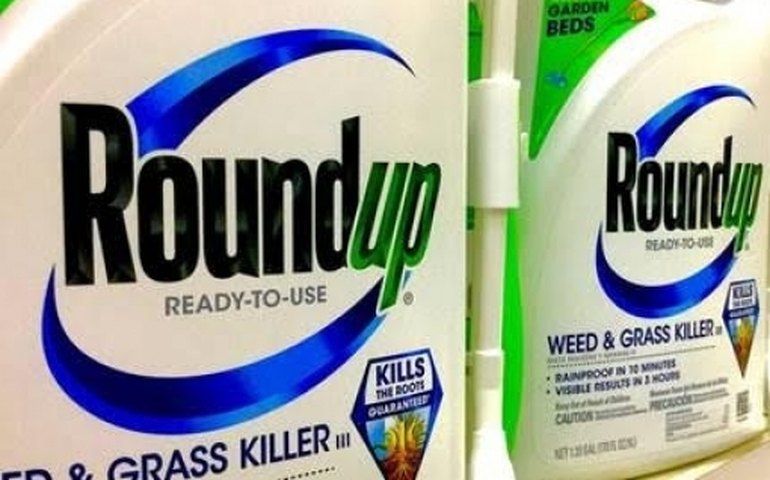 Nos EUA, Monsanto tem decisão favorável em julgamento envolvendo herbicida