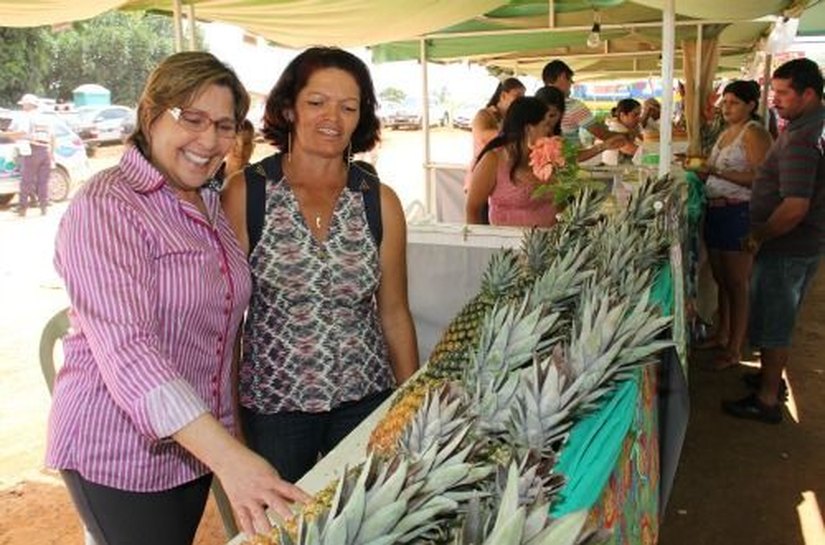 Prefeitura de Arapiraca apoia exposição e Festival do Abacaxi