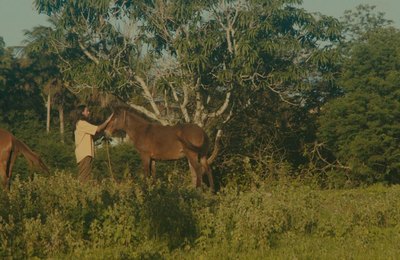 Mago Véio transforma saudade em arte no videoclipe “Toada a Galope”