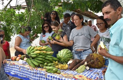 Prefeitura de Maceió incentiva agricultura familiar e melhora merenda