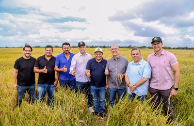 Prefeitura de Penedo e Cooperflores impulsionam economia da zona rural com plantio de arroz na Ponta Mofina