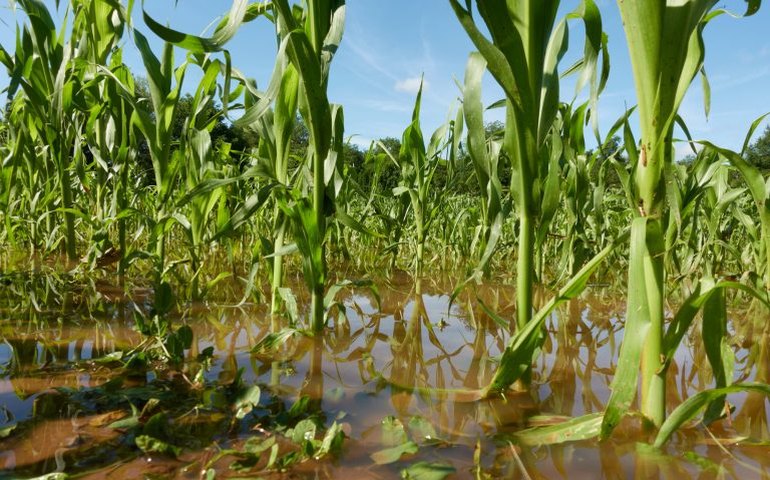 Retrospectiva 2025: aprovada ampliação do acesso de agricultores familiares ao Garantia-Safra