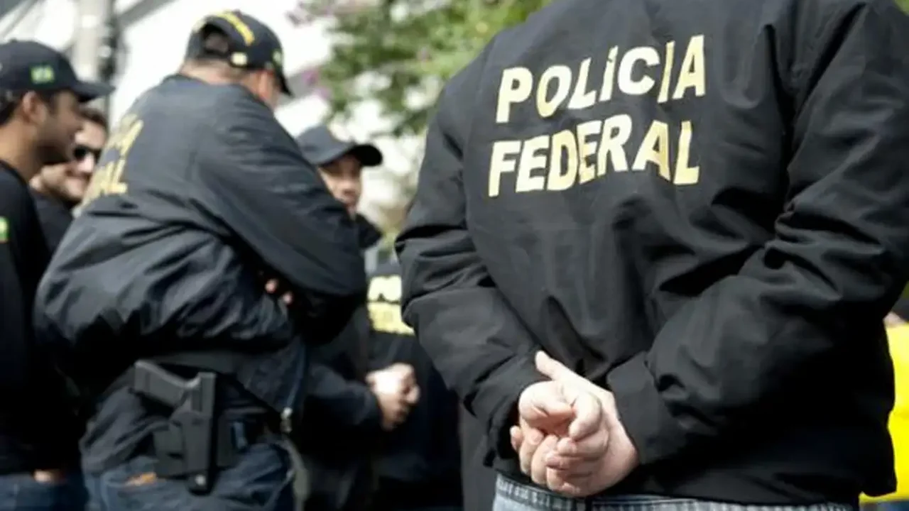 Operação combate esquema de importação ilegal de mercadorias