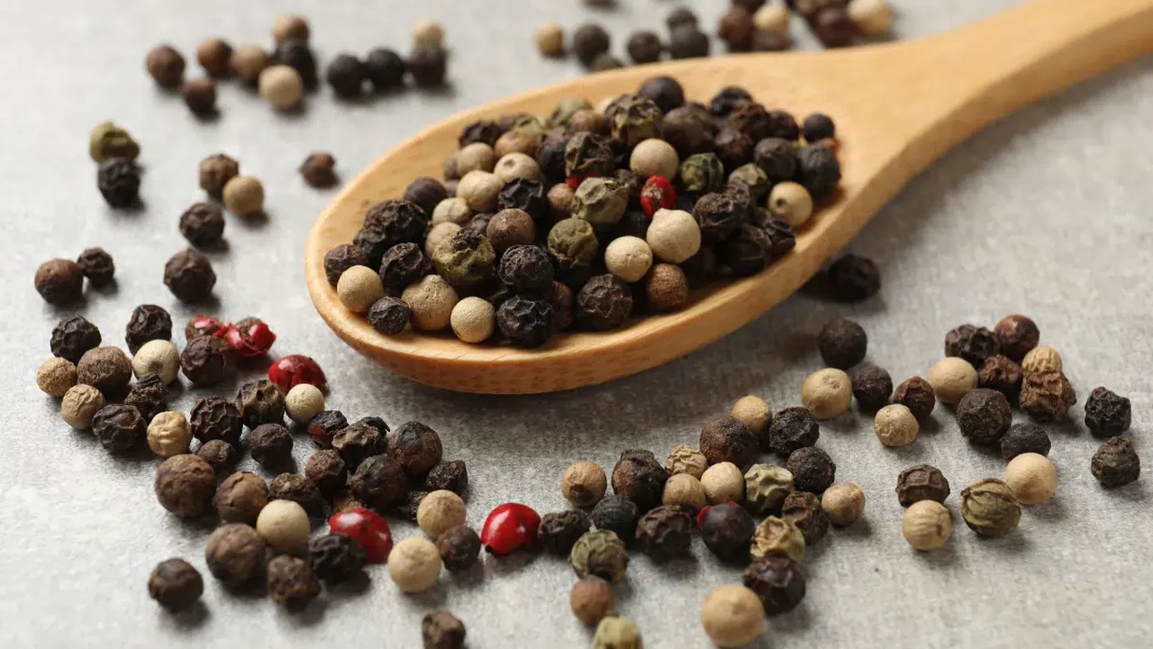 Você usa pimenta-do-reino todos os dias? Conheça os benefícios e cuidados com a especiaria