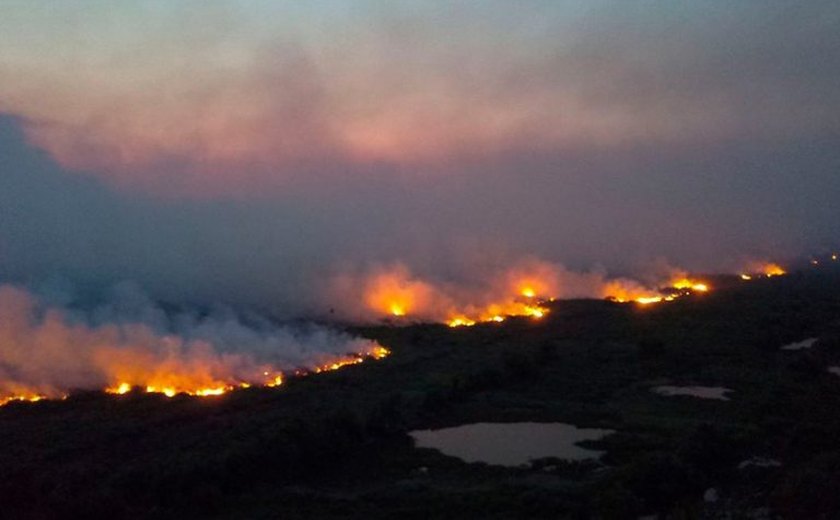 Queimada recorde de 2024 levou à destruição de 30 milhões de hectares
