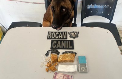 PM flagra tráfico de drogas durante ocorrências em Arapiraca e Piranhas