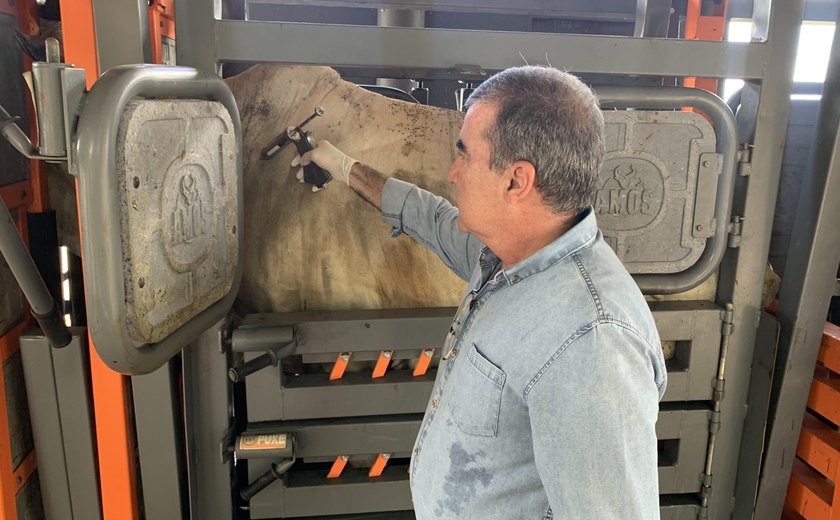 Declaração de vacinação contra Febre Aftosa em Alagoas vai até dia 15