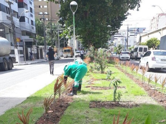 Avenida Sandoval Arroxelas recebe ações de arborização