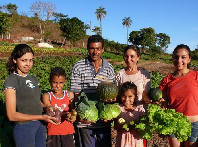 Técnicos são capacitados para utilizar sistema de gestão e extensão rural